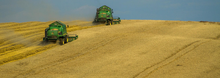 Опис спеціальності “Мехатроніка”, Аграрний ВНЗ, Нітра