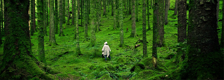 Описание специальности «Экология», УК, Братислава